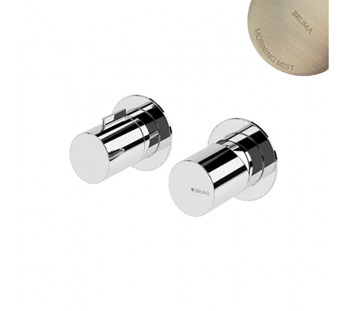 Смеситель скрытого монтажа на 2 отверстия, с 2 выходами, ручка тип 2 Avalon 189 310 6MM нержавеющая сталь