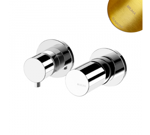 Смеситель скрытого монтажа на 2 отверстия, с 2 выходами, тип ручки 2 Adagio 193 310 3SR золото матовое