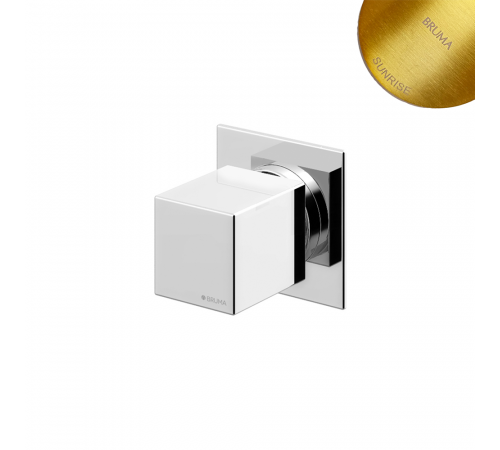 Переключатель на 2 выхода Adamastor 301 110 2SR золото матовое